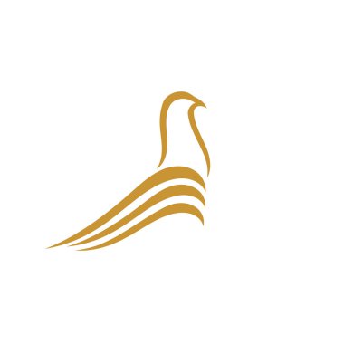 Kuş kanadı güvercin logo şablonu vektörü