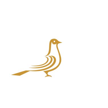 Kuş kanadı güvercin logo şablonu vektörü