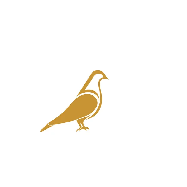 Bird wing Gołąb Logo wektor szablonu — Wektor stockowy