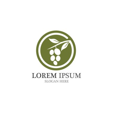 zeytin logosu vektör tasarımı