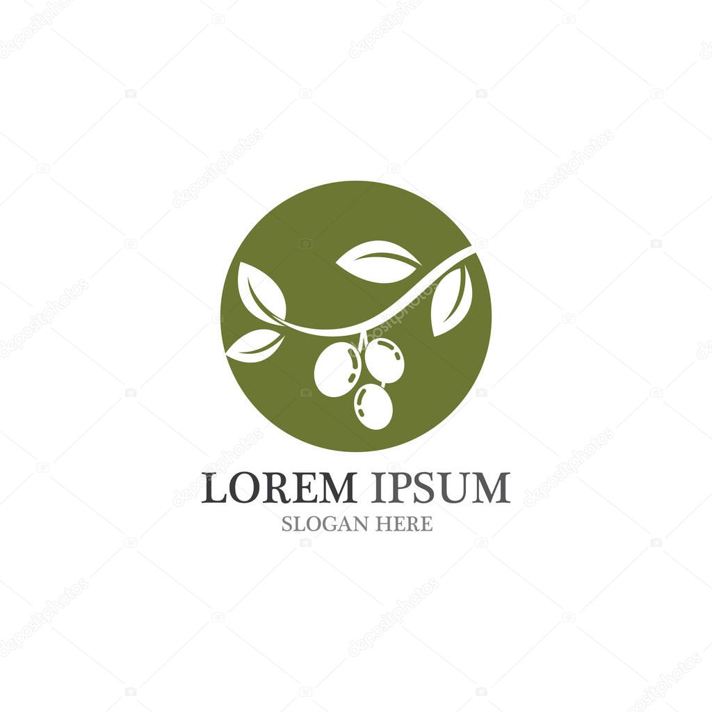 Olive logo vector design template