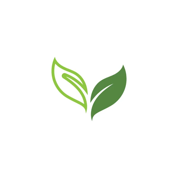 Grüne Blatt Ökologie Natur Element Vektor — Stockvektor