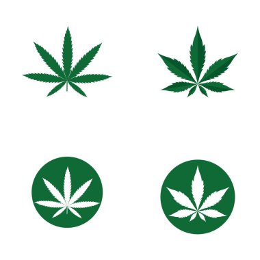 Canabis yaprak logosu ve sembol vektörü
