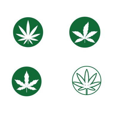 Canabis yaprak logosu ve sembol vektörü