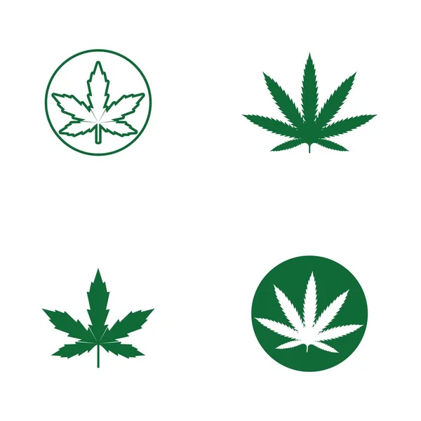 Canabis Blad Logotyp Och Symbol Vektor — Stock vektor