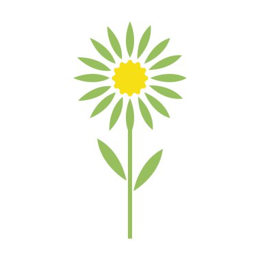 Edelweiss logo illüstrasyon vektör tasarımı