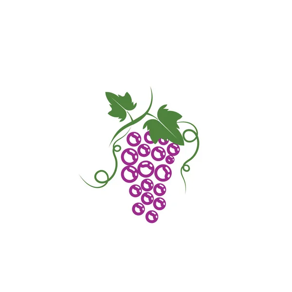 Grapes Logo Template Vector Icon Illustration Design — Stock Vector