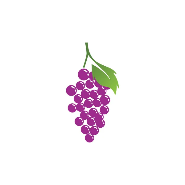 Grapes Logo Modello Icona Vettoriale Illustrazione Design — Vettoriale Stock