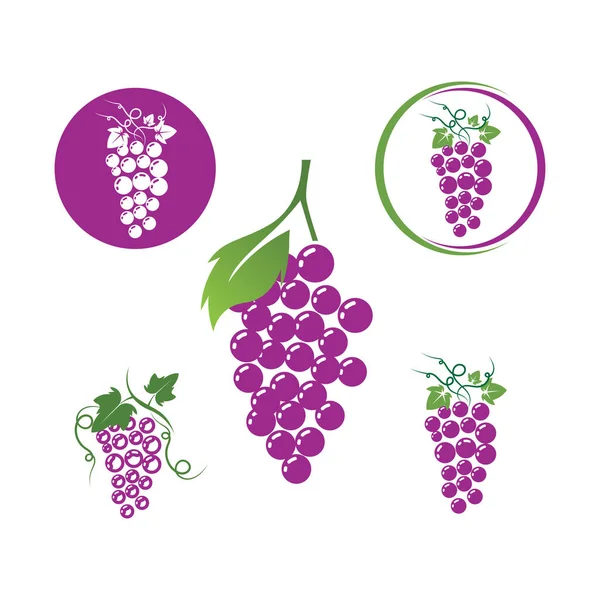 Grapes Logo Modello Icona Vettoriale Illustrazione Design — Vettoriale Stock