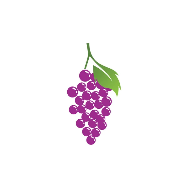 Grapes Logo Template Vector Icon Illustration Design — Stock Vector