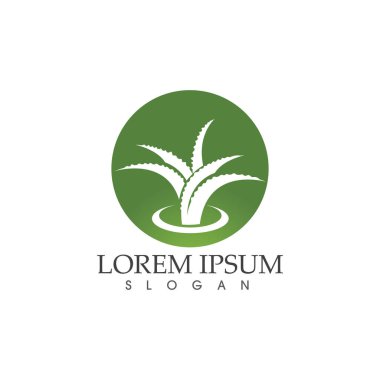Aloe vera vektör çizim ikonu şablonu