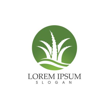 Aloe vera vektör çizim ikonu şablonu