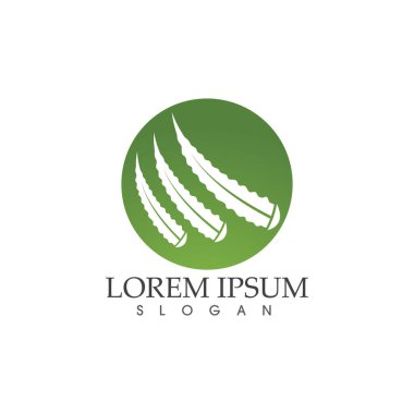 Aloe vera vektör çizim ikonu şablonu