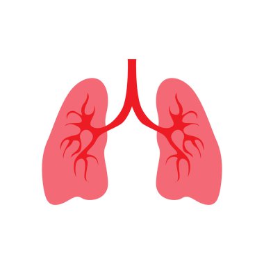 İnsan akciğer vektör resim şablonu