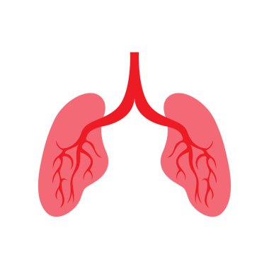 İnsan akciğer vektör resim şablonu