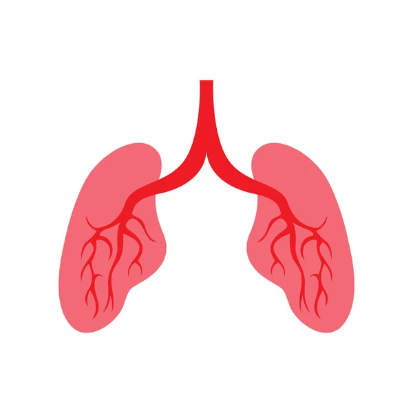 Vorlage Für Menschliche Lungenvektorbilder — Stockvektor