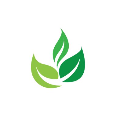 Yeşil yapraklı ekoloji doğa element vektörü