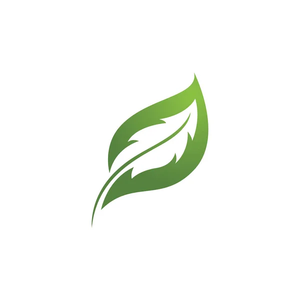 緑の葉生態系の自然要素ベクトル — ストックベクタ