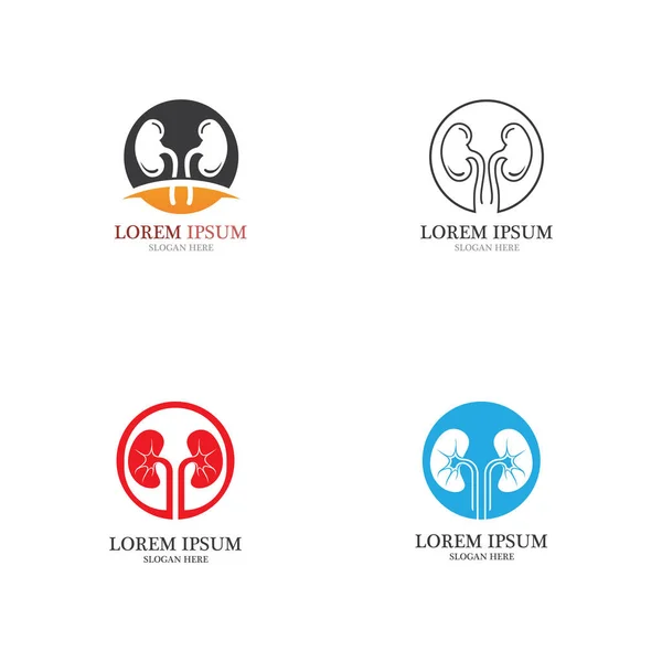 Modello Logo Progettazione Dell Illusione Del Vettore Renale — Vettoriale Stock