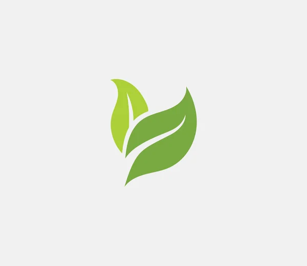 Eco Ikon Grön Blad Vektor Illustration — Stock vektor