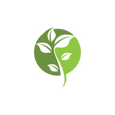 Yeşil ağaç yaprağı ekoloji doğa elementi vektörü logoları