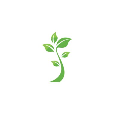 Yeşil ağaç yaprağı ekoloji doğa elementi vektörü logoları