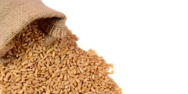 Beyaz arka plan üzerinde izole buğday tahıl çuvalı