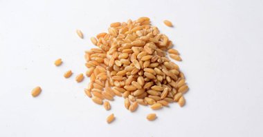 Buğday yığını, kopyalama alanı olan beyaz arkaplanda izole edilmiş