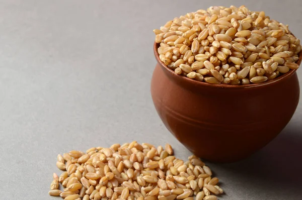 Клейкий горшок с зерном пшеницы . — стоковое фото