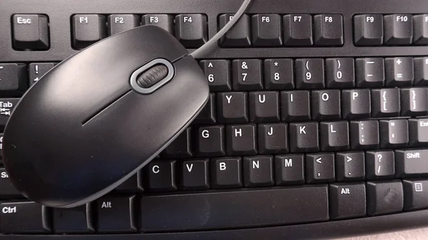 Computer Keyboard Electronic Mouse Isolated — Stock Photo, Image