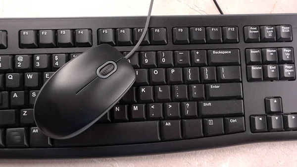 Computer Keyboard Electronic Mouse Isolated — Stock Photo, Image