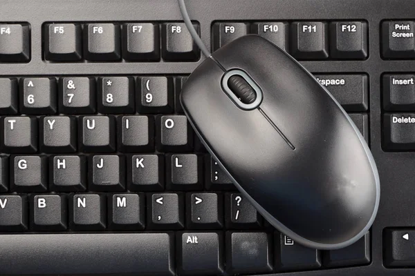 Computer Keyboard Electronic Mouse Isolated — Stock Photo, Image