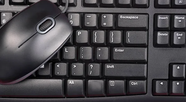 Computer Keyboard Electronic Mouse Isolated — Stock Photo, Image