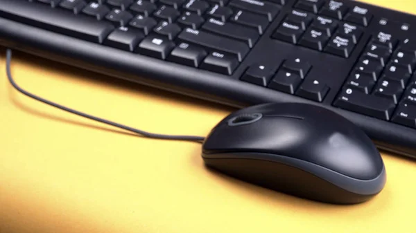 A computer keyboard and electronic mouse isolated.