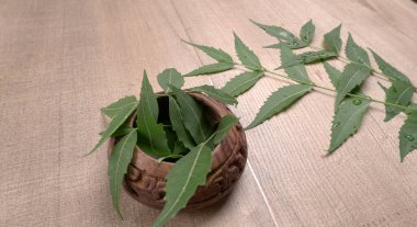 İlaç yaprakları, Azadirachta indica. Cilt bakımında, güzellik ürünlerinde ve kremlerde kullanılır..