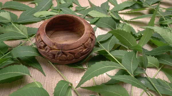 Medicinal Neem Leaves Azadirachta Indica Used Skin Care Beauty Products — Stock Photo, Image