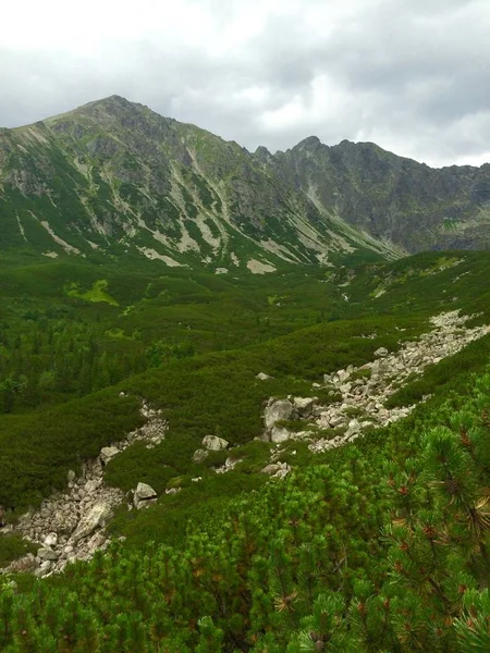 Stony trail in the mountains — Stock Photo, Image