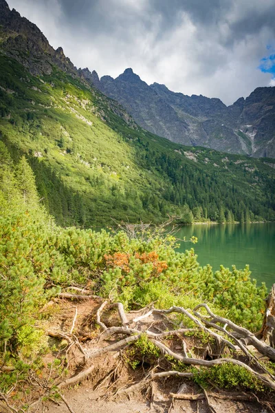 Polônia Montanhas Tatry Trilha Montanha Lado Lago Com Olho Mar — Fotografia de Stock