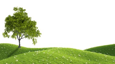 Yeşil alan. 3D render