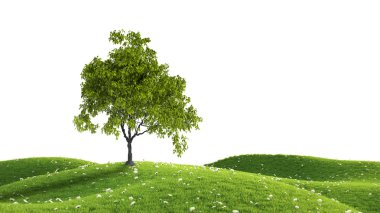 Yeşil alan. 3D render