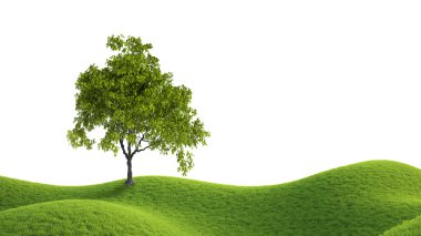 Yeşil alan. 3D render