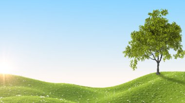 Yeşil alan. 3D render