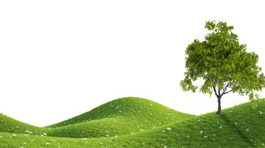 Yeşil alan. 3D render