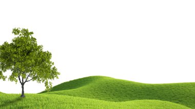 Yeşil alan. 3D render