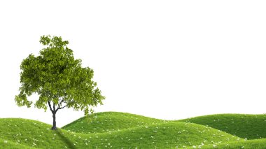 Yeşil alan. 3D render