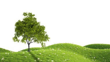 Yeşil alan. 3D render