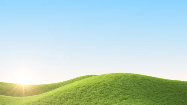 Green field. 3D rendering — Stock Photo, Image