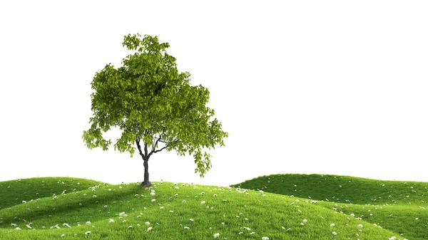 Yeşil alan. 3D render