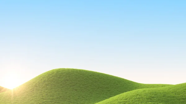 Зеленое поле. 3D рендеринг — стоковое фото