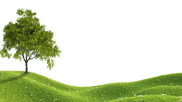 Green field. 3D rendering — Stock Photo, Image